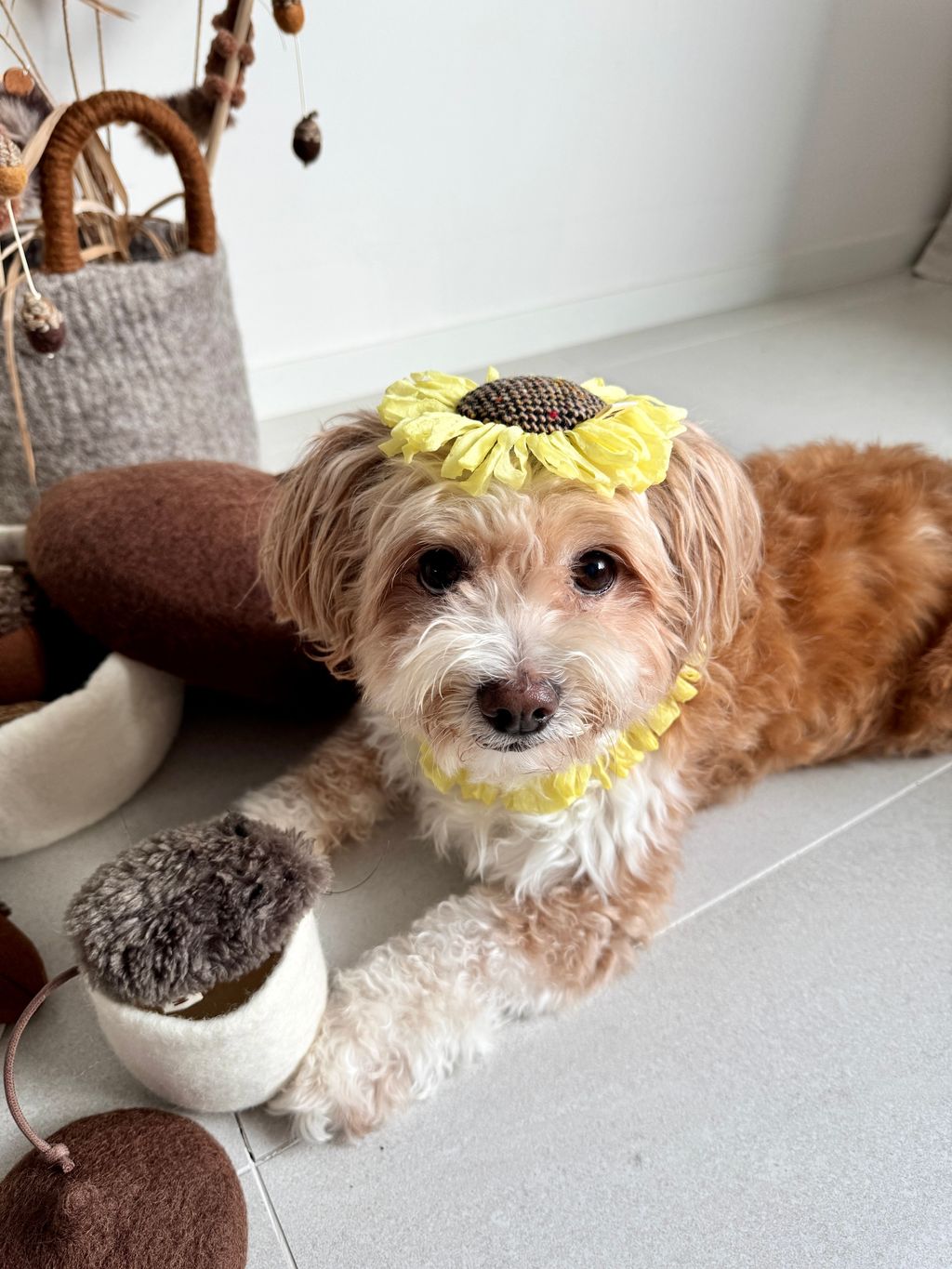 image_67C2B9B2-848B-4DF4-BFFD-34217FBD1A28_1754551754