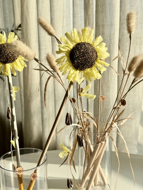 image_EA56B958-E0AC-47EF-B1AA-109EE90A27B0_1754643077