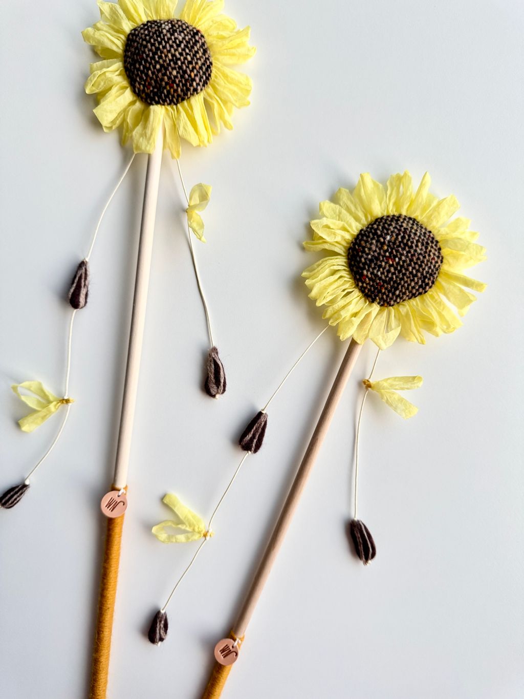 image_5732967E-6A4C-48E5-9BB0-E519B23D7C73_1754643077