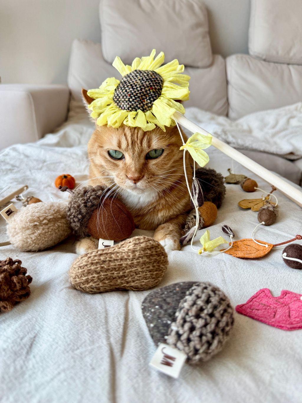 image_1990C0DA-BBE3-4EB4-83A0-A502E5A781A8_1754643077