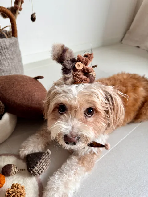 image_86DBA73A-D73A-4432-A16D-A3F53EF4F1F8_1754645017