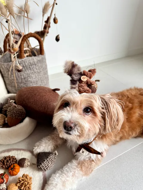 image_315499DE-4D4C-4889-BE18-F1238B20478E_1754645017