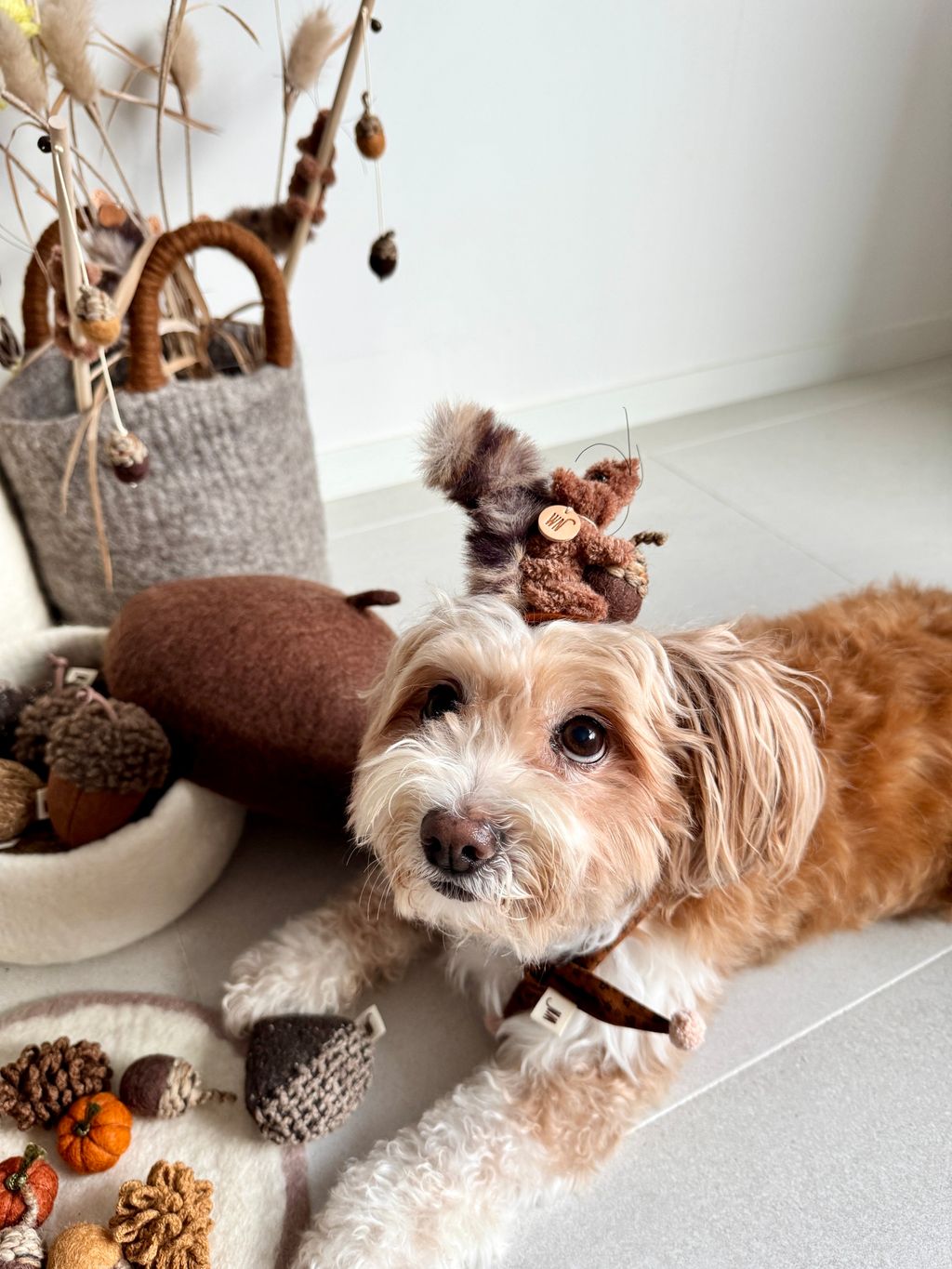 image_315499DE-4D4C-4889-BE18-F1238B20478E_1754645017