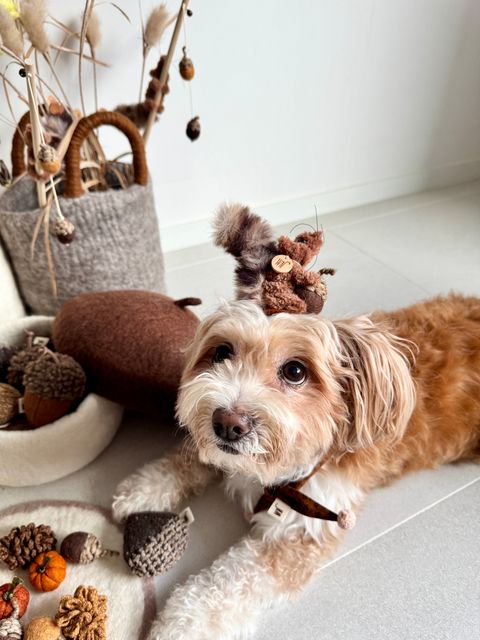 image_315499DE-4D4C-4889-BE18-F1238B20478E_1754645017