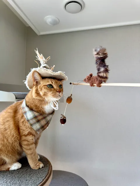 image_F490754A-5987-44A9-AAC7-D94C6C8850A3_1754645277