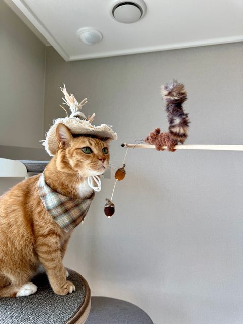 image_F490754A-5987-44A9-AAC7-D94C6C8850A3_1754645277