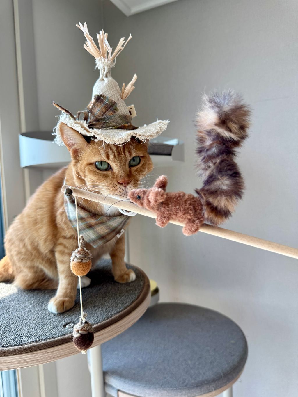 image_842BD937-55C2-456F-8C2B-1C4B25297A8F_1754645277