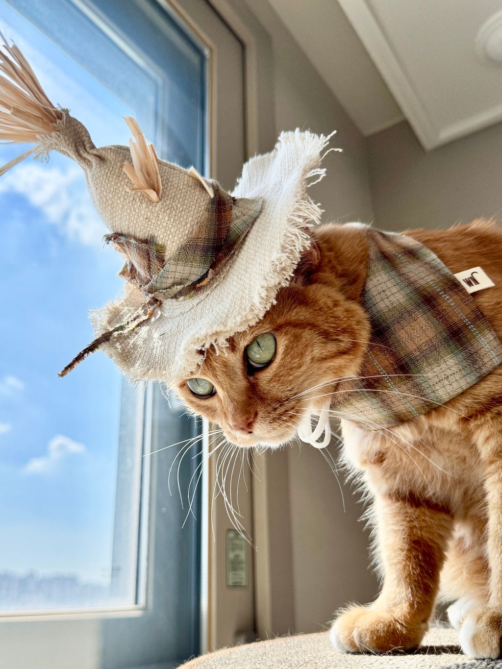 image_C146B526-9AE9-4FC9-8C6C-8574DCD4BB4C_1754645391