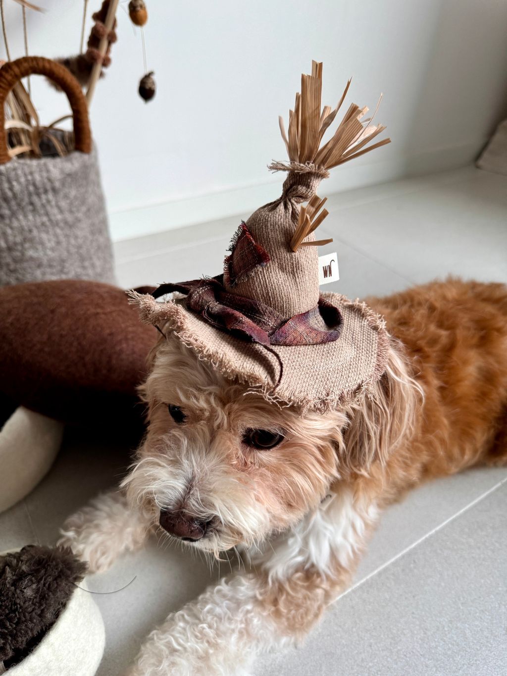 image_C3FAFE63-C254-44B4-8964-5D4A0715D364_1754645437