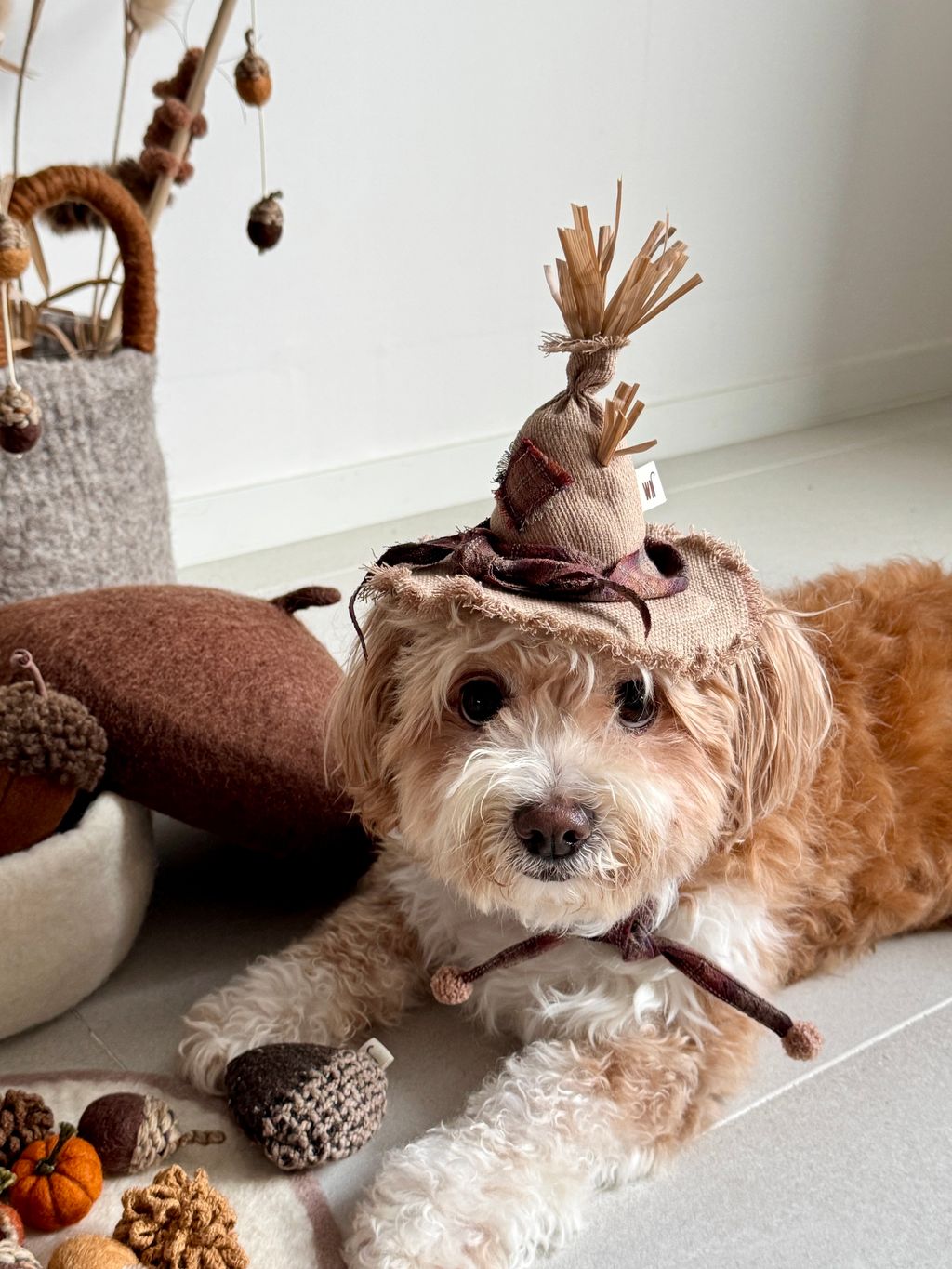 image_6EDAEEC4-E540-4673-B68E-FA65E36F618A_1754645437