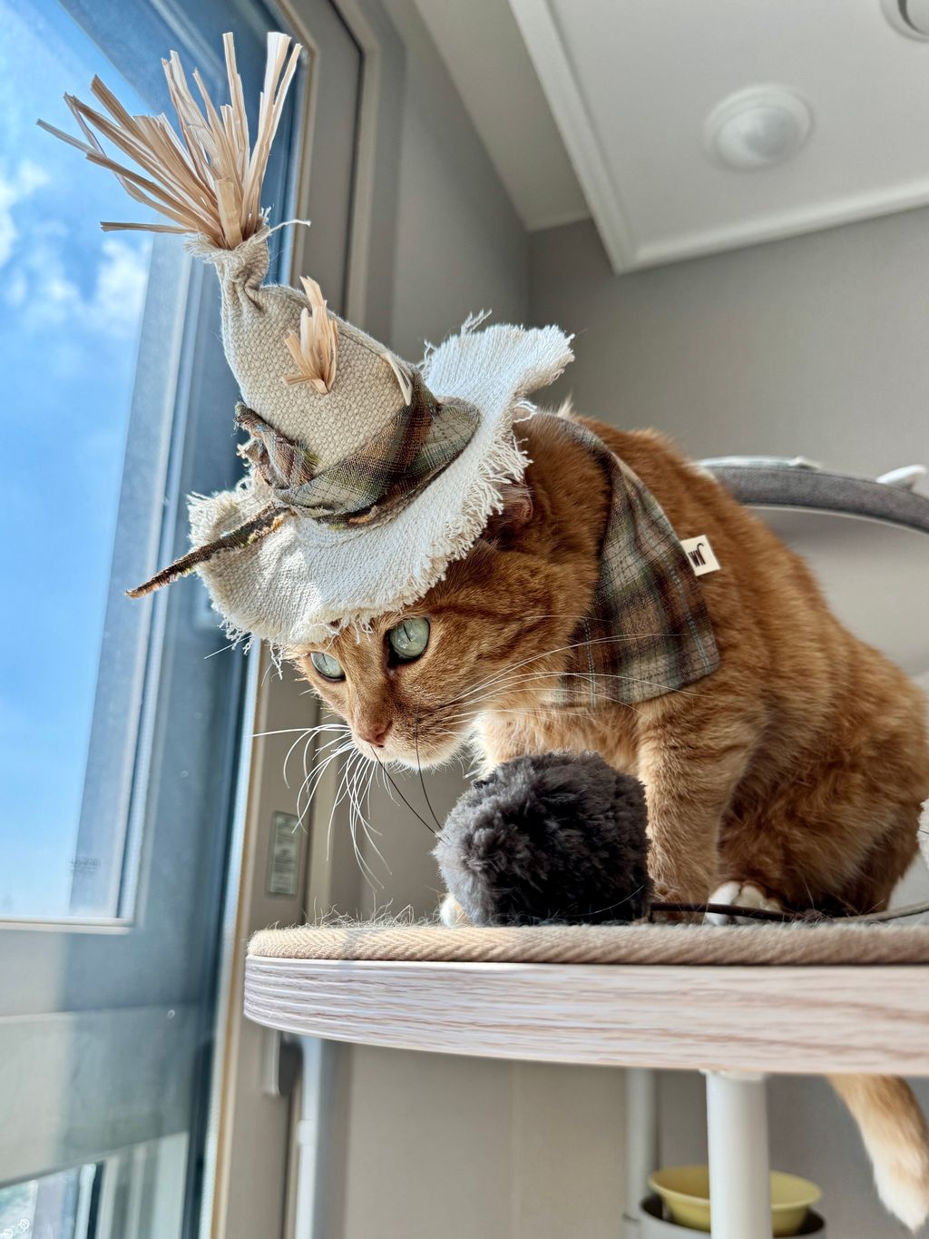 image_0BB1AE8B-B1DC-4C91-BF84-18CE9C42BE32_1754645775