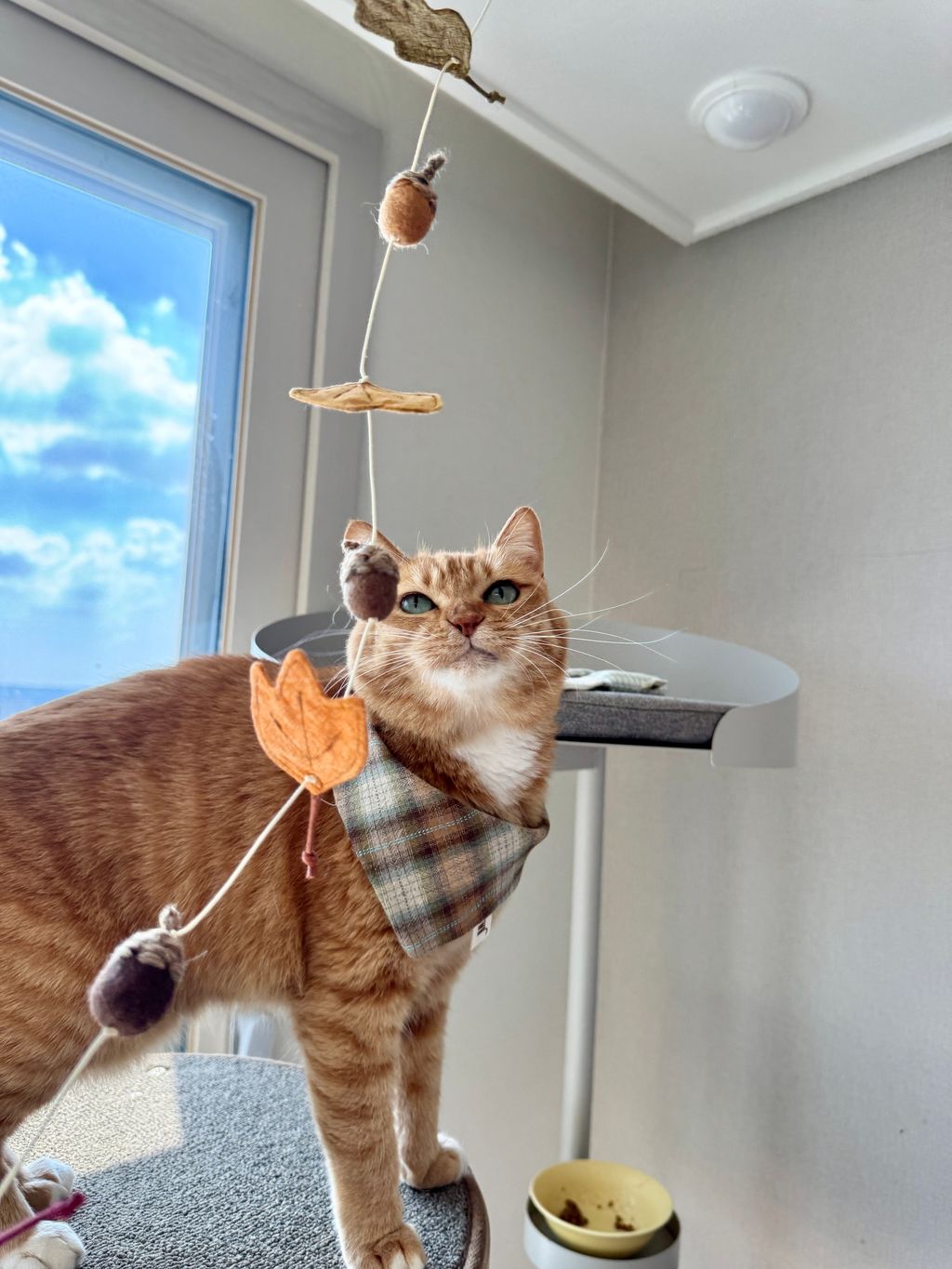 image_CF75419C-6916-40BA-939D-ED20C5EF615D_1754645775