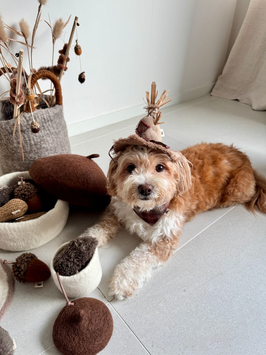 image_950D64EB-CECD-4B99-8830-D2177C74B86E_1754645775