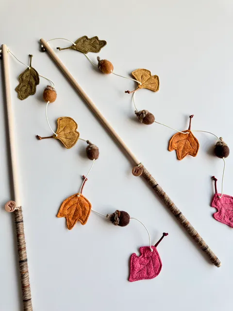 image_4F3BE92C-8076-4DB1-9636-32E46C3A5612_1754645903