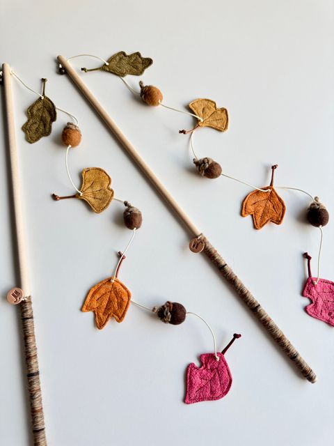 image_4F3BE92C-8076-4DB1-9636-32E46C3A5612_1754645903