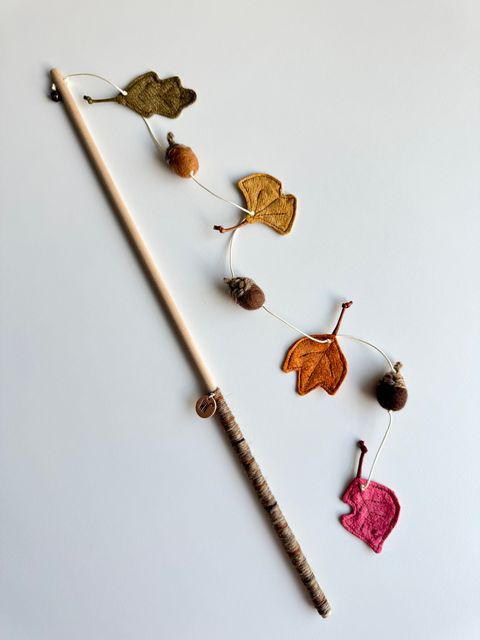 image_14261285-1DF6-4C3E-A93F-51758B9D5AB8_1754645903