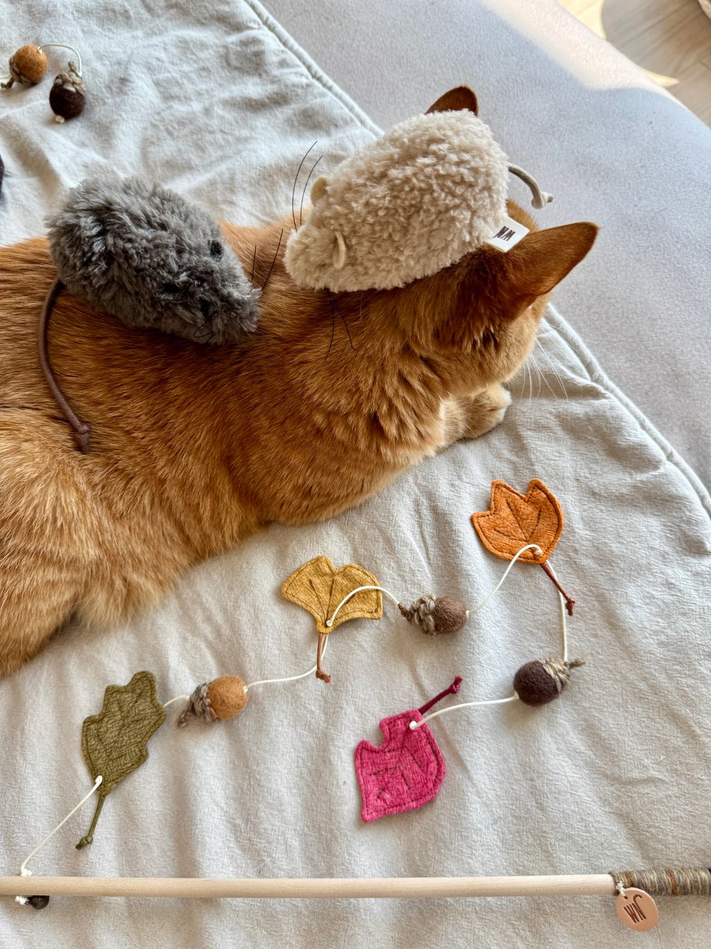 image_3284FF83-F102-4498-B557-B7E525F5FED6_1754645903