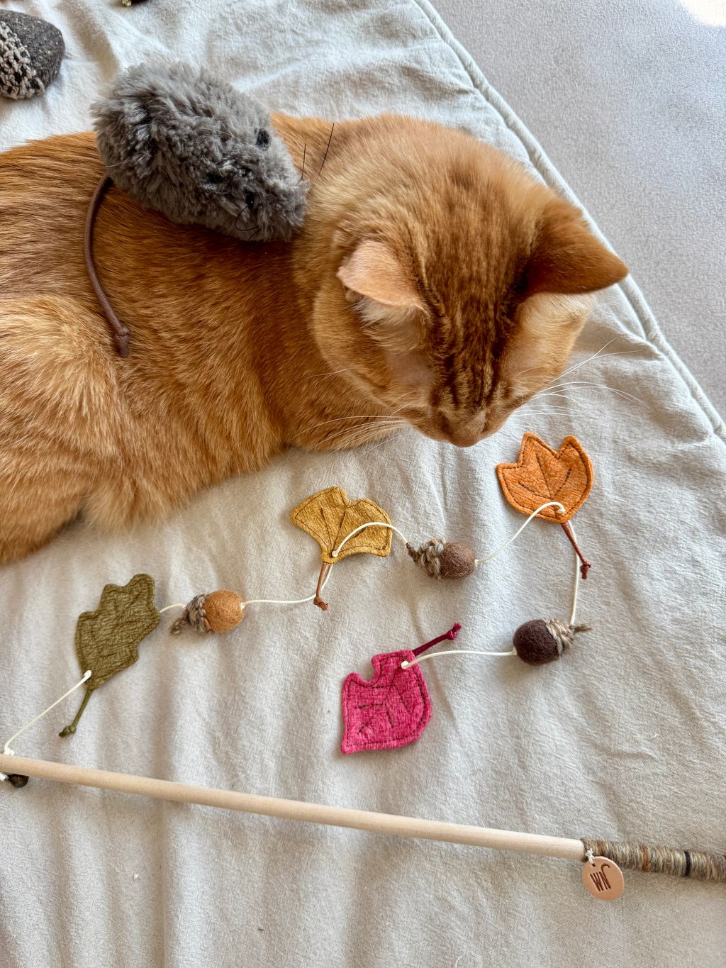 image_B7210901-6624-4536-880D-3454B60ECC73_1754645903