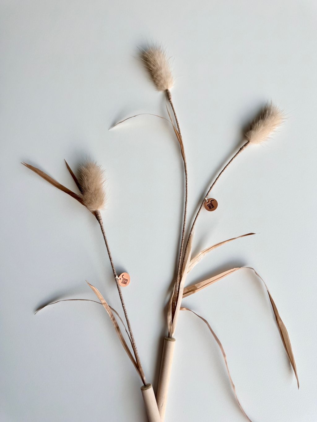 image_FB194A45-F3CD-40B3-96DE-21CAE2EAD77B_1754646014