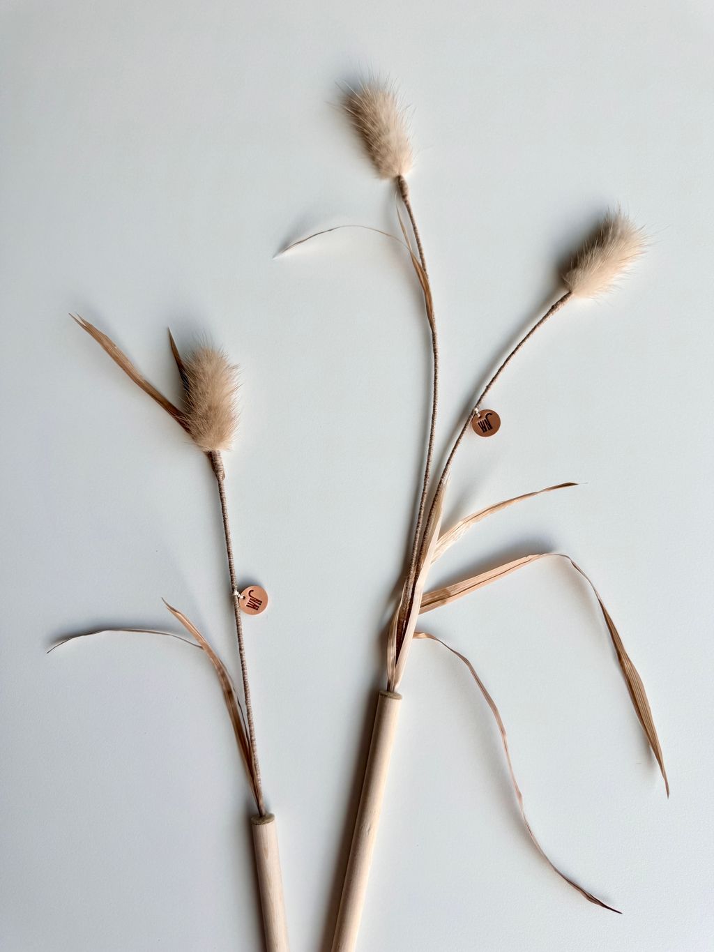 image_5C852B82-F336-4E82-BD72-7F1104DB9C4F_1754646014