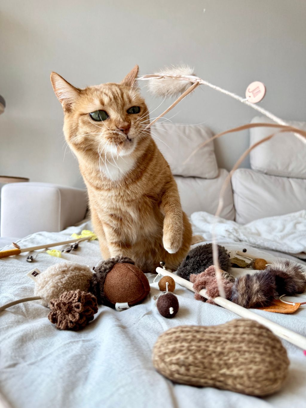 image_0F3A18B6-5088-4D39-A6F0-A6D573583840_1754646014