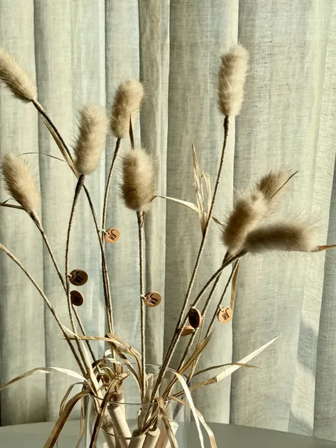 image_CC4C132D-6D9B-453F-9AAC-47862CDB03A5_1754646014