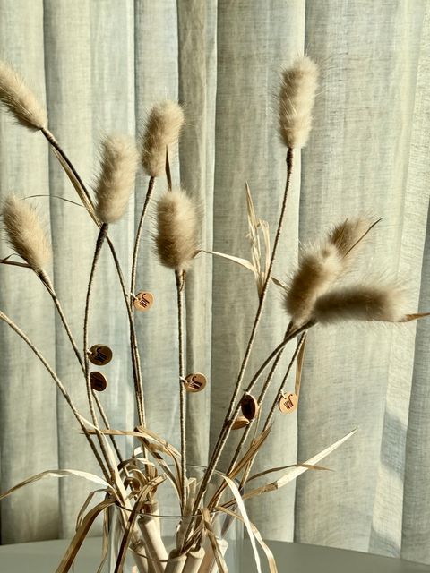 image_CC4C132D-6D9B-453F-9AAC-47862CDB03A5_1754646014