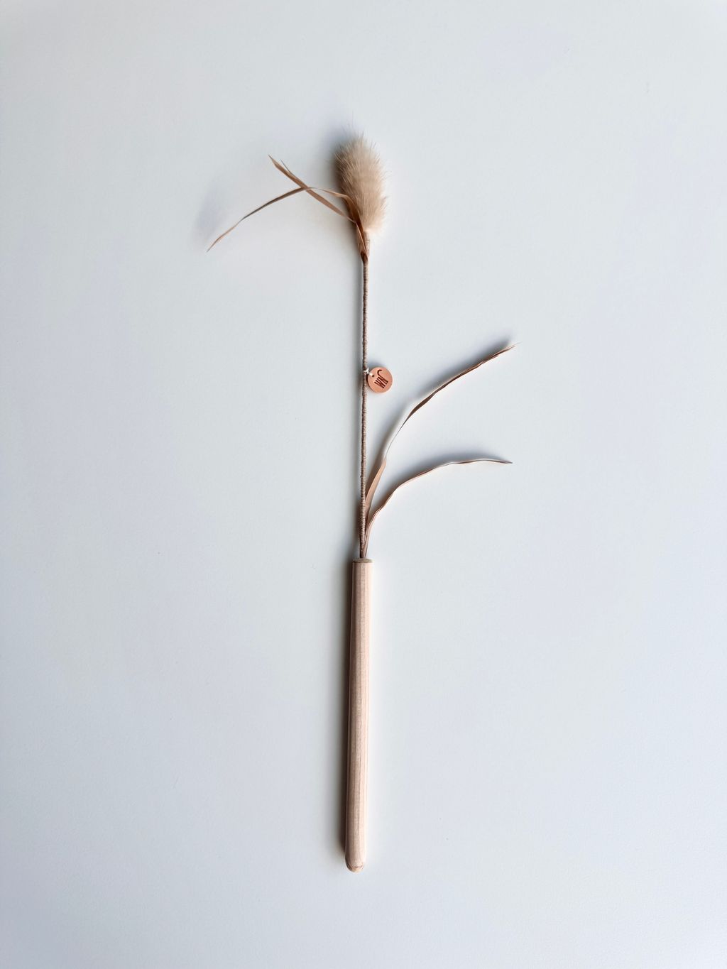 image_81E880CD-1E23-4259-B92E-585539C268D5_1754646015