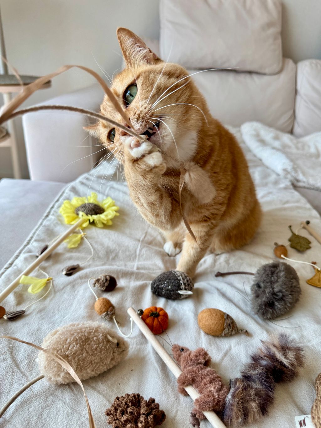 image_6416CD15-93B5-4430-84C0-5CE95041D4BC_1754646015