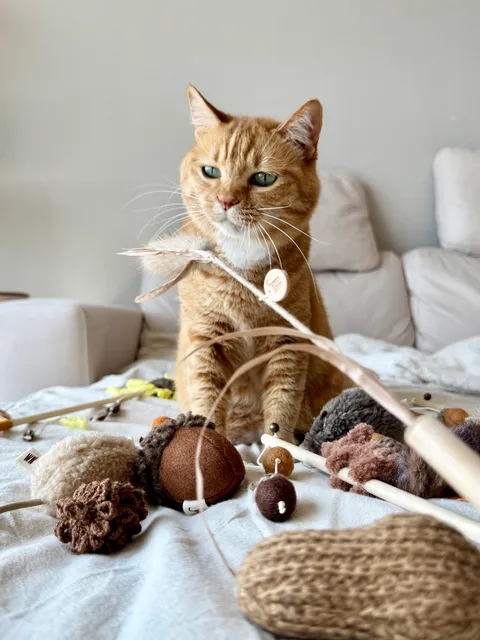 image_F98CFF44-F4AB-46F4-B323-22A60D6DEBA5_1754646015