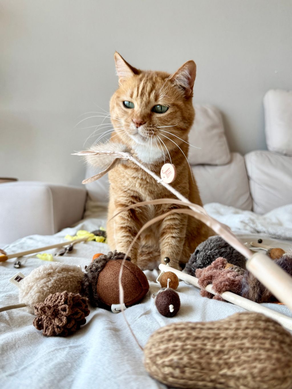 image_F98CFF44-F4AB-46F4-B323-22A60D6DEBA5_1754646015