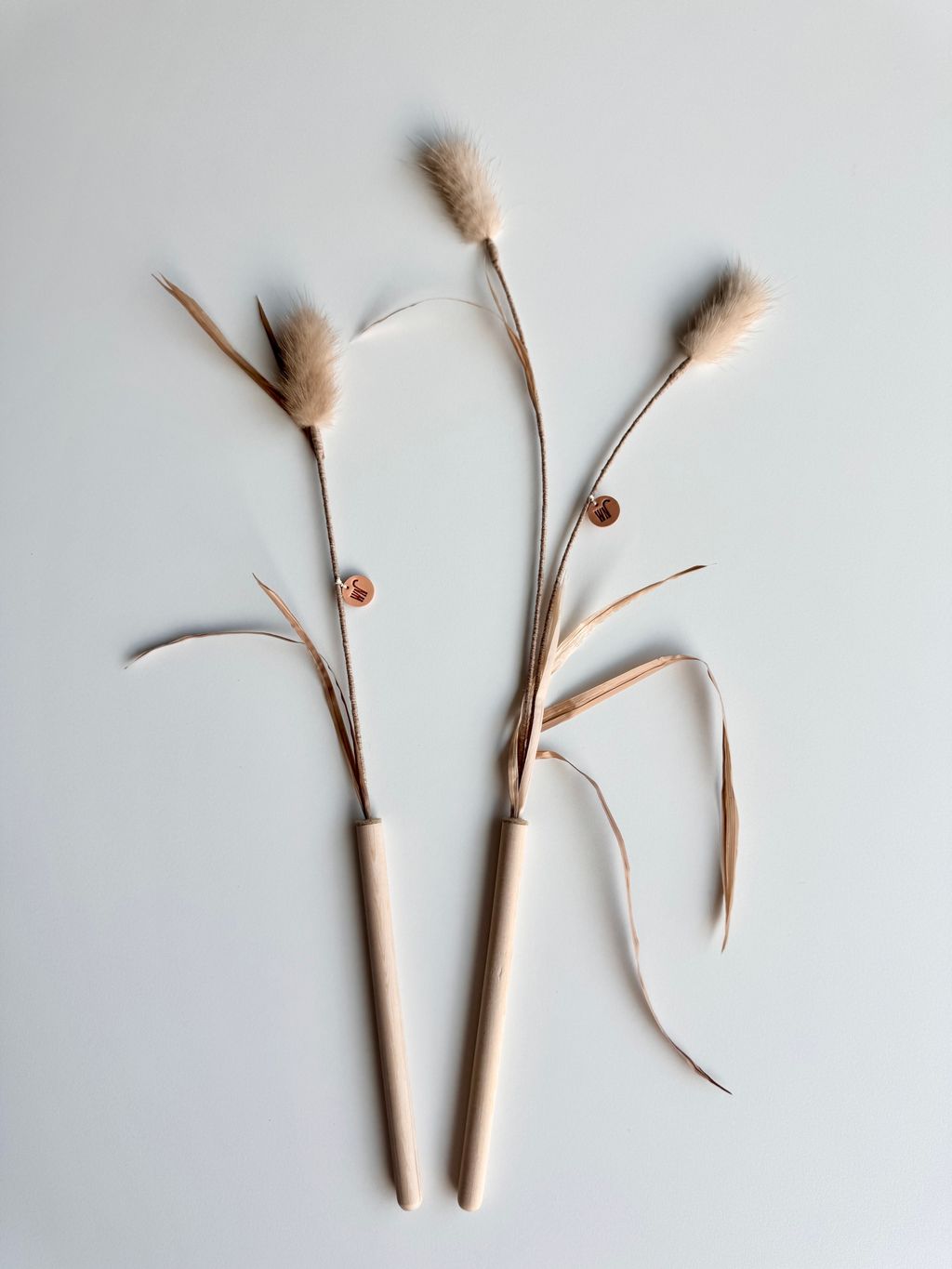 image_7DCF75A6-20FB-4B24-A645-288035A9CE27_1754646015