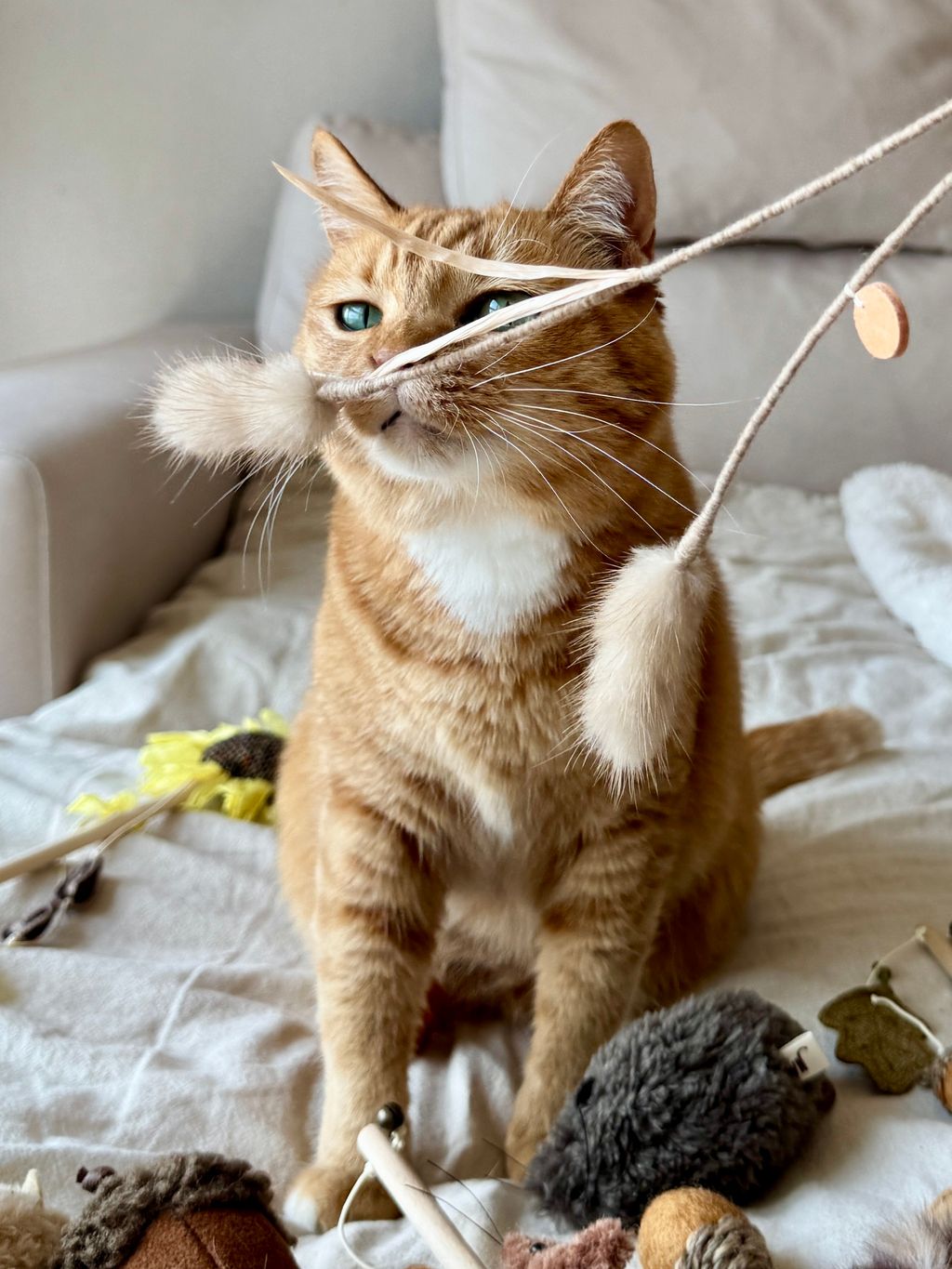 image_AD45057A-47CB-403F-A7A0-44458ACB6294_1754646015