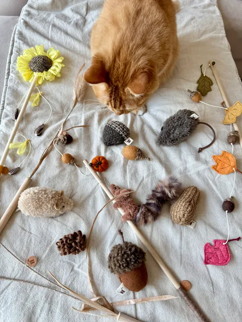 image_27A70778-2344-474F-A198-5F172FF26EC9_1754646167