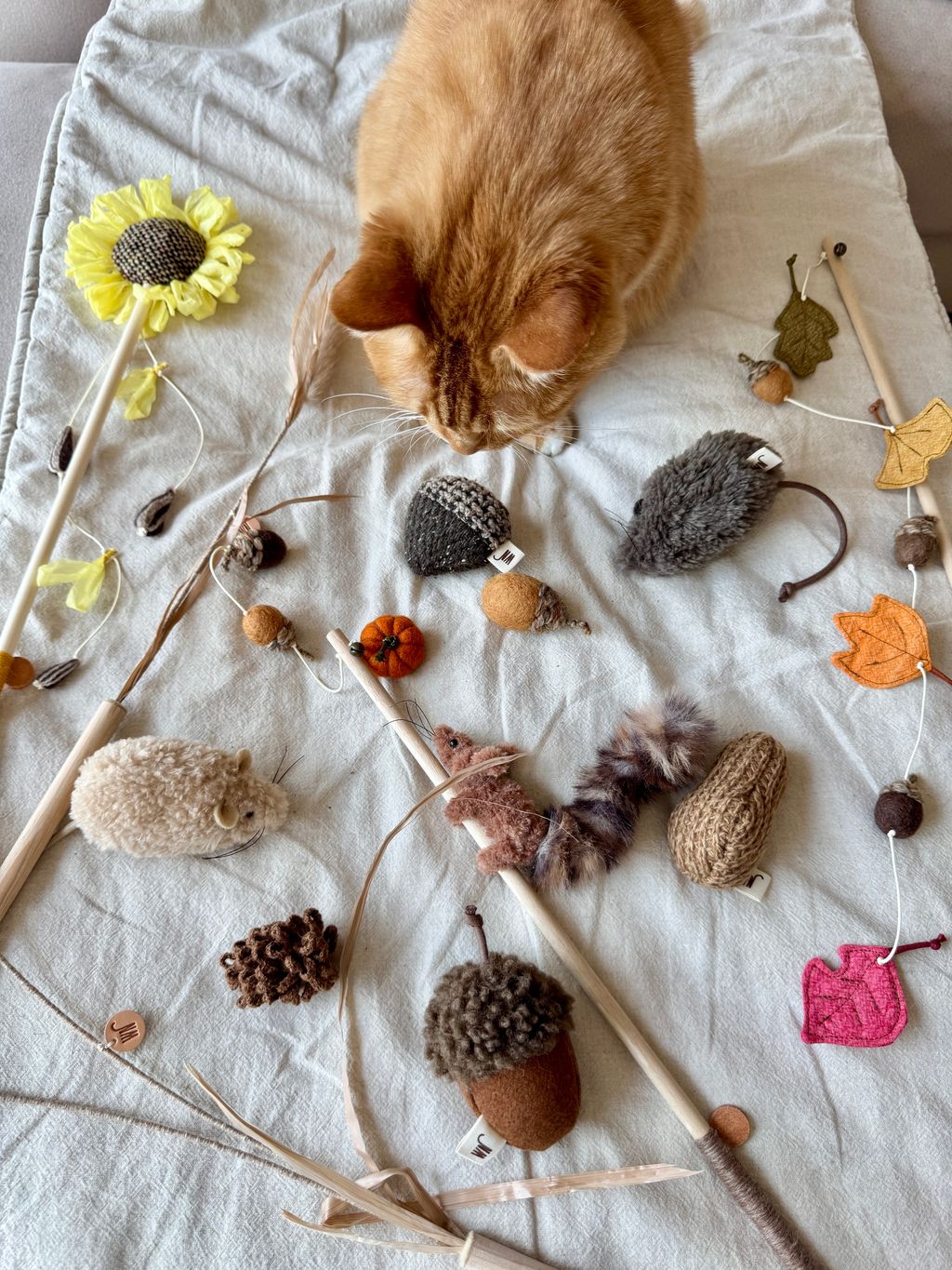 image_27A70778-2344-474F-A198-5F172FF26EC9_1754646167