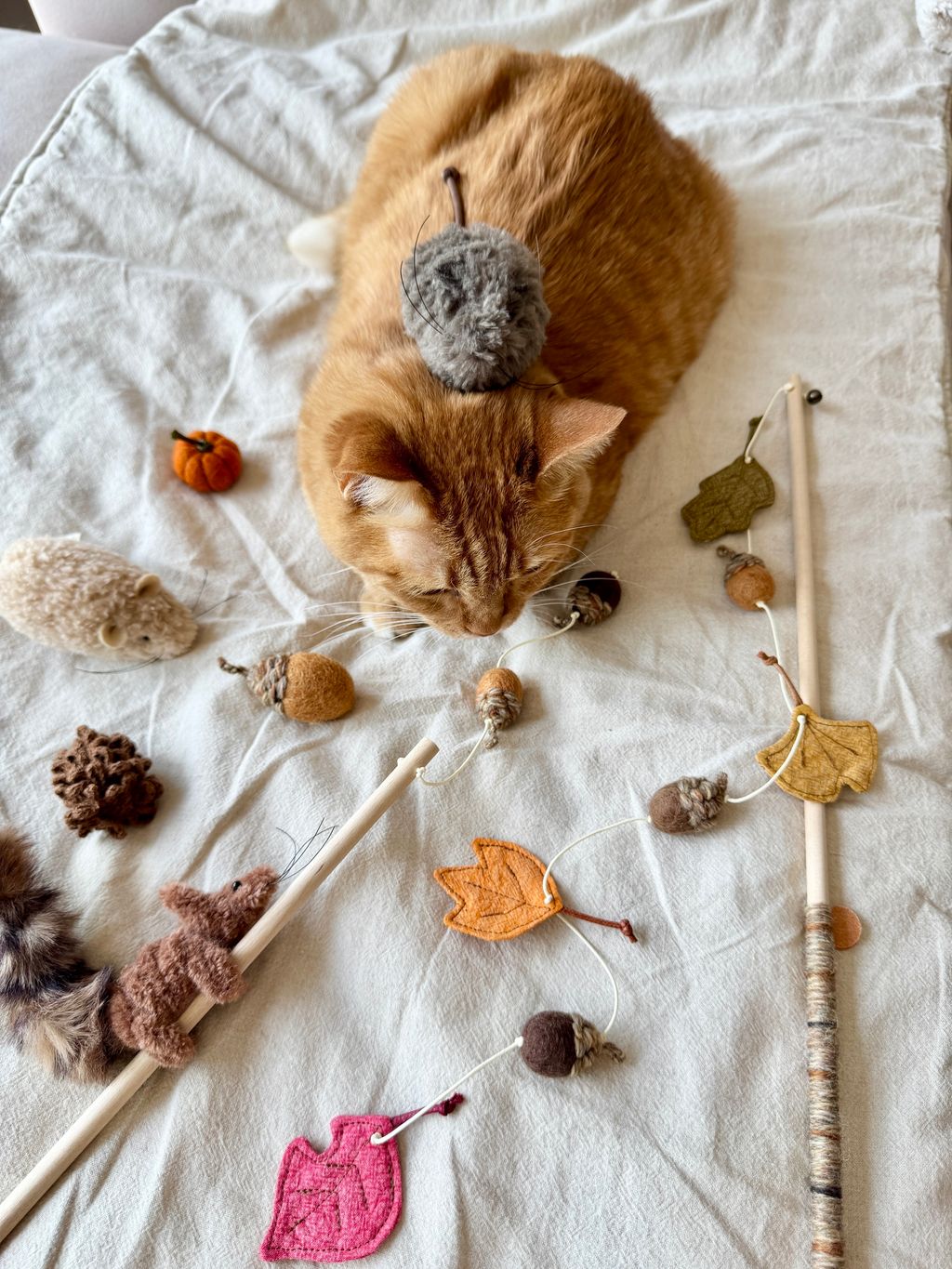 image_19F87401-832F-4ABB-B6B4-A50D3DA98EB8_1754646168