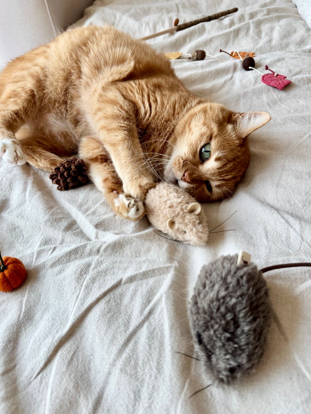 image_83081176-17ED-43BD-96AE-330040366E68_1754646168