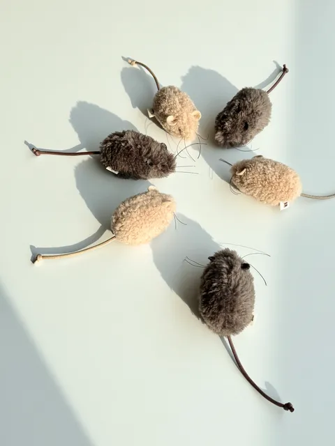 image_4A431344-6D1C-415C-B9A0-58BA78B56147_1754646168