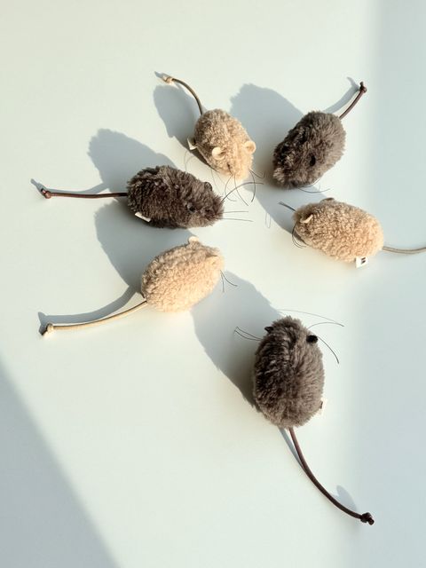 image_4A431344-6D1C-415C-B9A0-58BA78B56147_1754646168