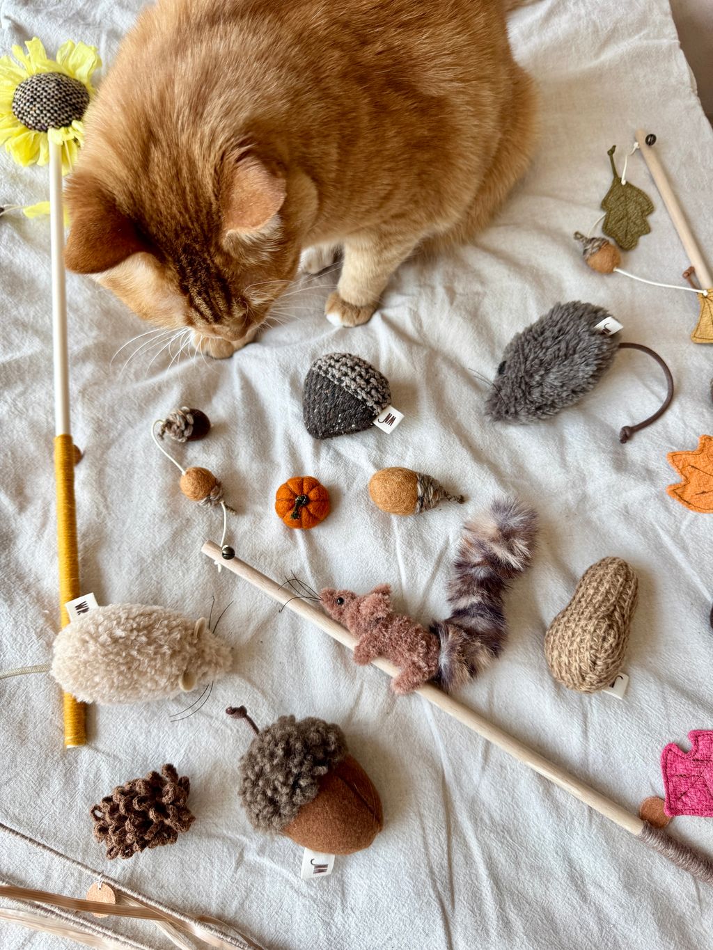 image_BD985EC5-5525-4DB6-8172-CA9860741B49_1754646413