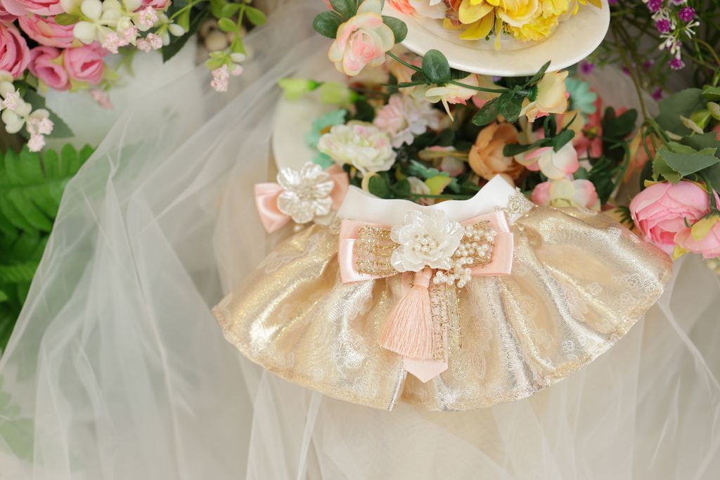 image_5FA13B34-B083-4DD2-B7A6-7AC3E80EF050_1756999867