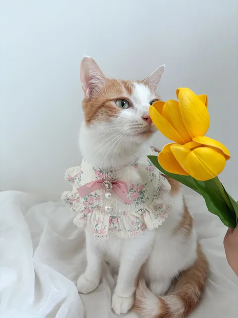 image_A829D930-8DF1-46A7-A94A-64E5256D3F5E_1757000349