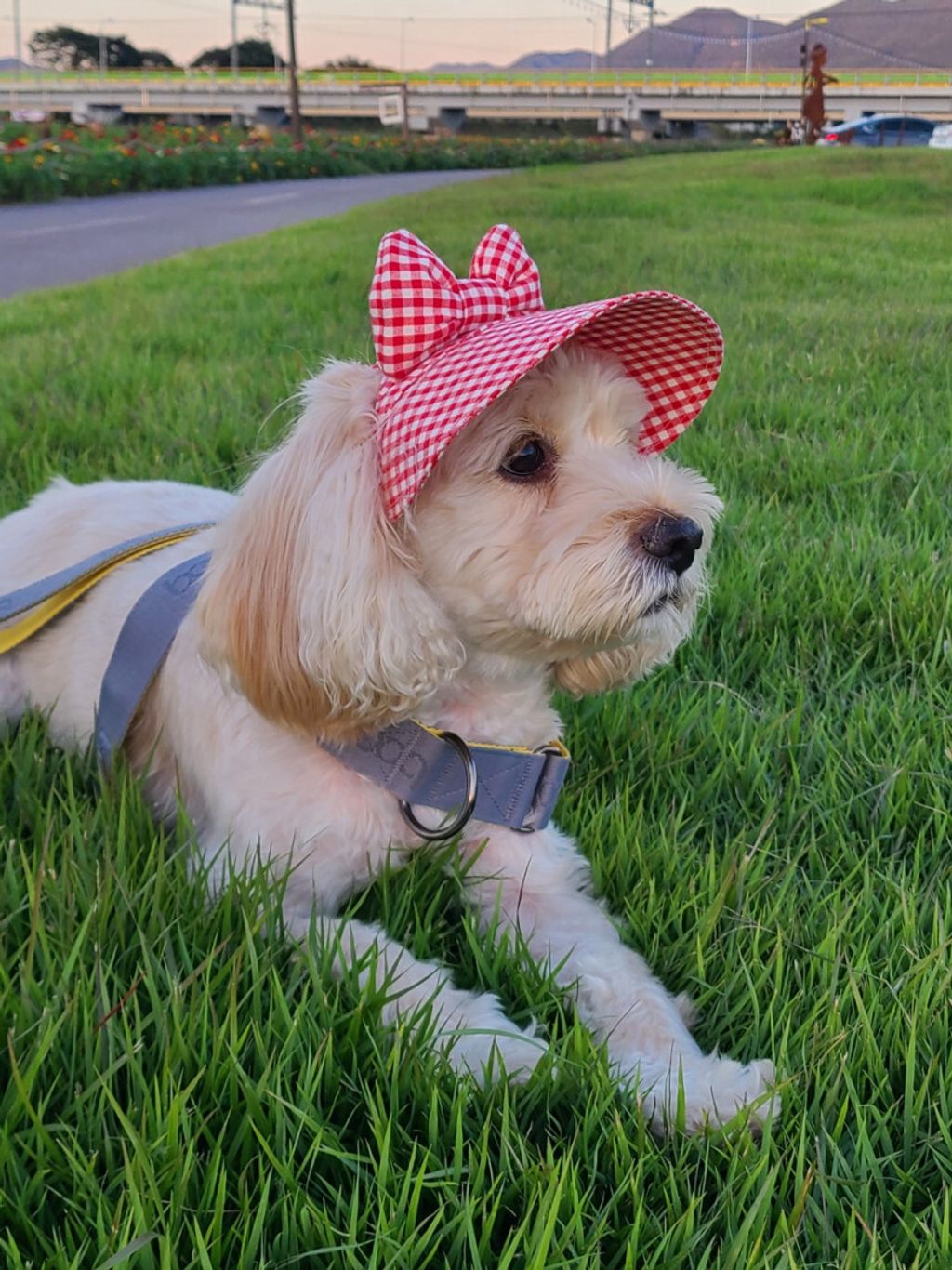 image_C38ABF4C-5972-4E2C-B1BF-800012C73354_1759154882