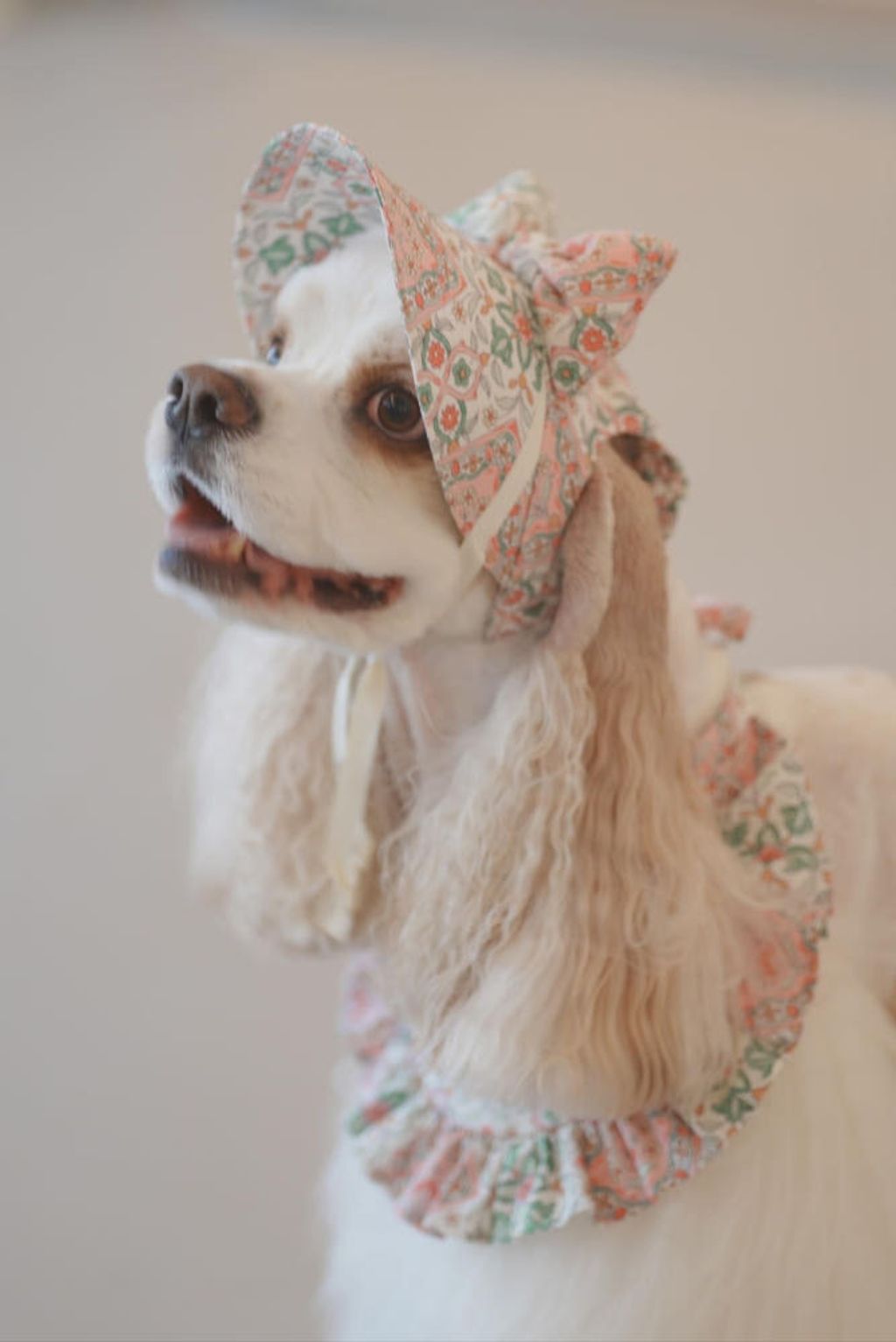 image_E868240F-B31B-4BD7-A3D0-AAEEE42E6858_1759155394