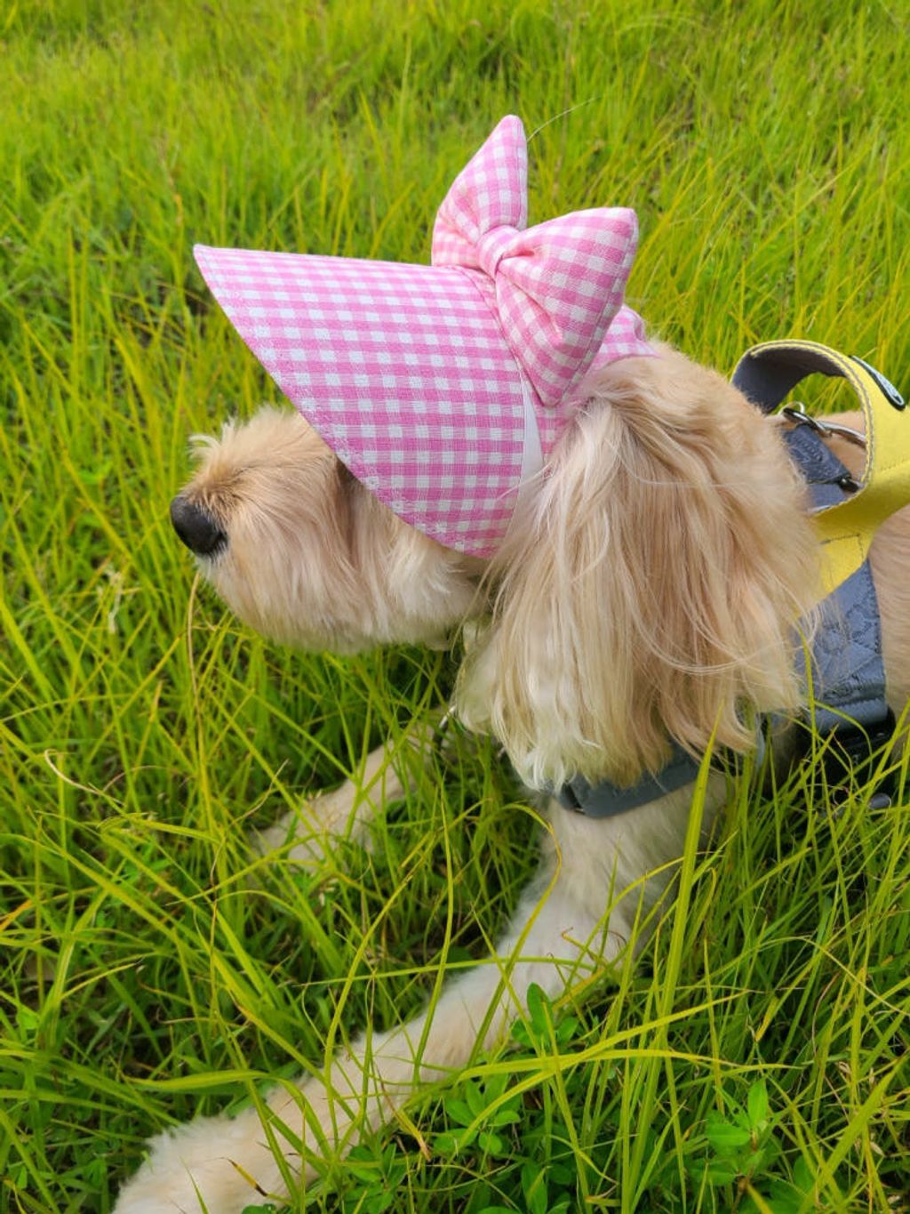 image_B96BABE3-707C-4BBE-A30D-80AAC461A1B7_1759155539