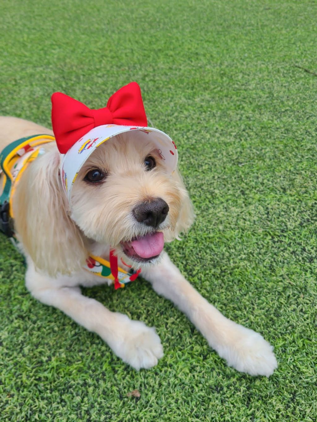 image_D95CF980-98DB-41C2-AA7B-A563DC07A9BA_1759156670