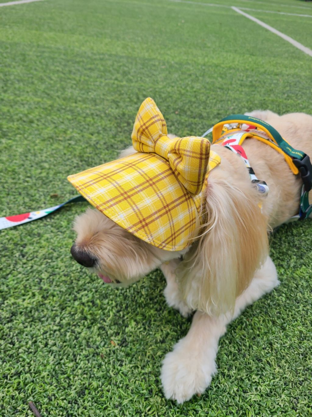 image_7593F989-7BDC-4074-9B05-8979AC2EB0BC_1759156811