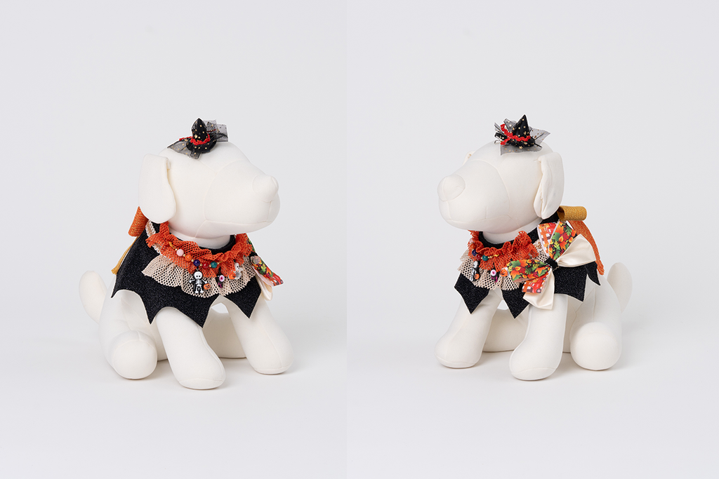 image_3D602E11-0CBE-42BB-B2E9-CF44002A4B87_1759170200