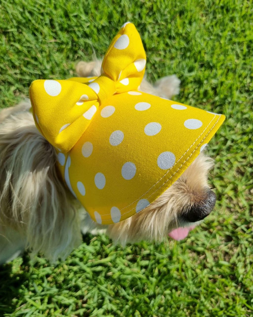 image_A4CC3C24-5043-4458-84A6-4D472658BE38_1759206090