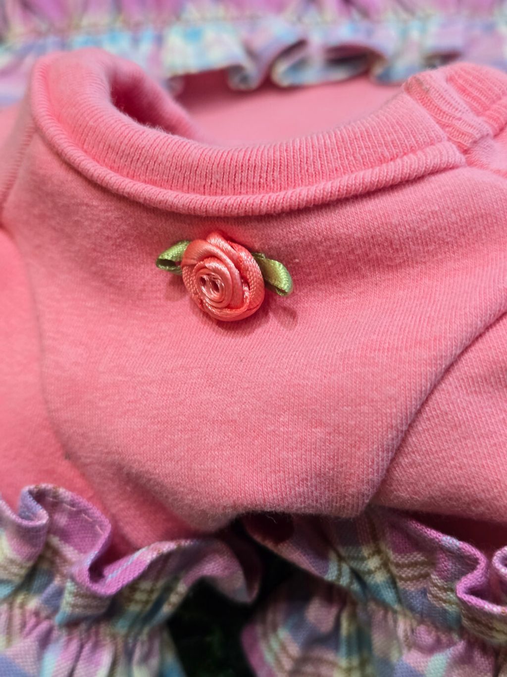 image_7AD7783A-EB17-42D9-9609-D307488B4054_1759323535